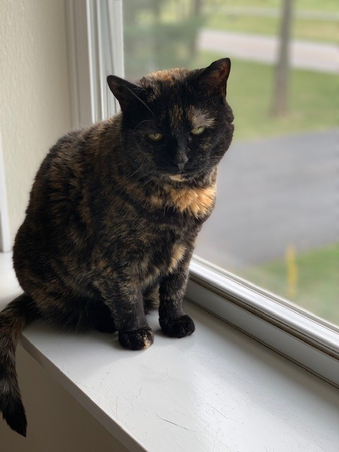 Kira
